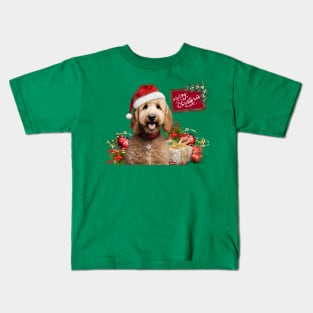 Have a Very Merry Doodle Christmas! Kids T-Shirt